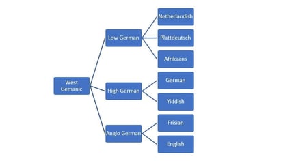 The Evolution of English:Contributions of European Languages