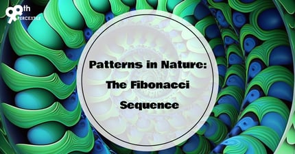 The Magical Fibonacci Sequence