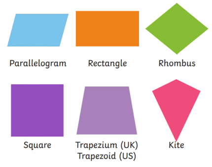 Exploring Quadrilaterals: Types, Properties & Real-Life Uses for Students 