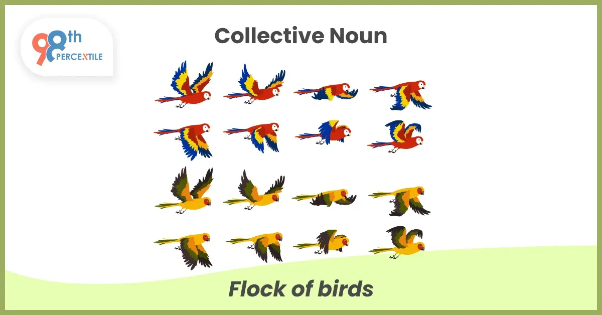 Collective noun