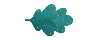 Live weather, air quality, wildlife data, sustainable-energy modelling.
