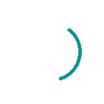 Celebration animation